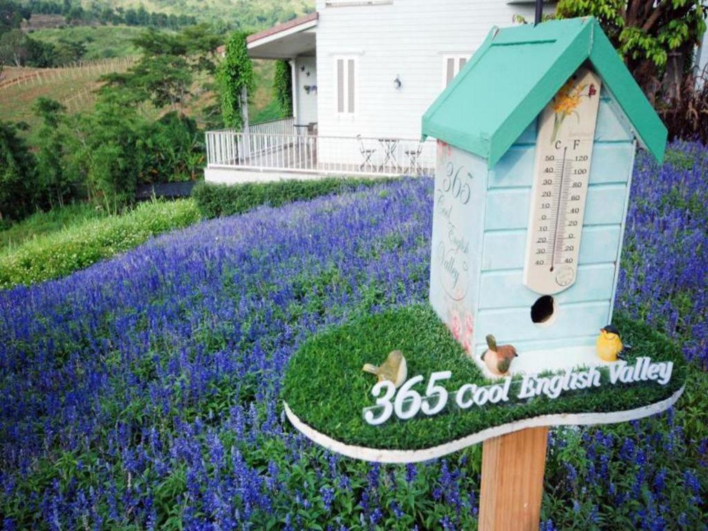 Resort The Bluesky @