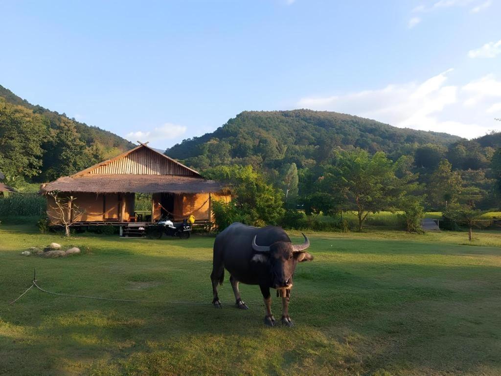 Resort Peisanae Faikeng