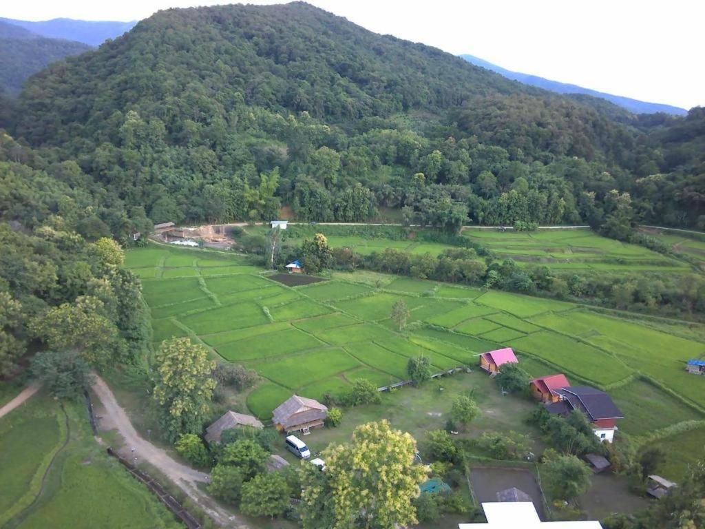 Peisanae Faikeng 3*