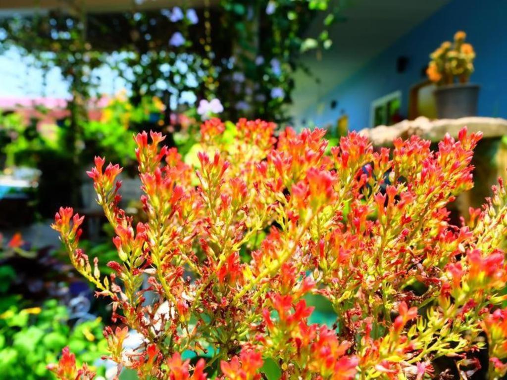 Resort Rommai Rimnaam 2*