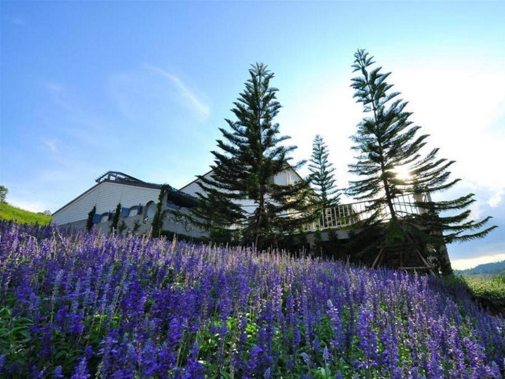 Resort The Bluesky @ 4*