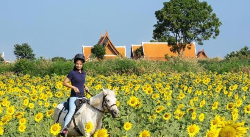 Resort Baan Souchada &