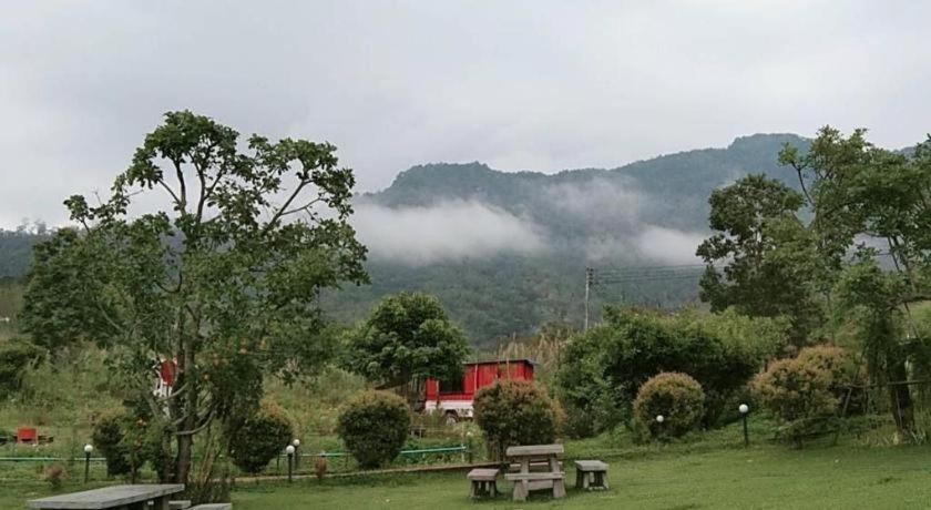 Katoon Khao Kho