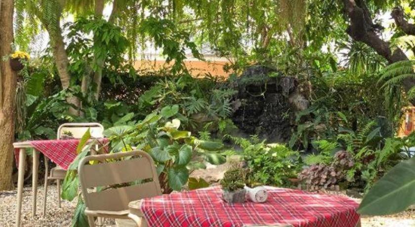 Resort Mango House