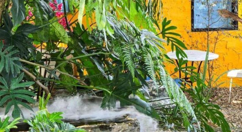 Resort Mango House 4*