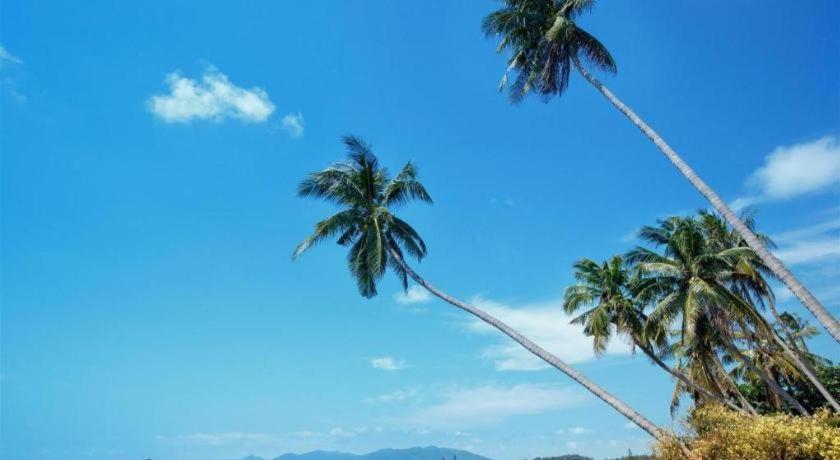 Sea Hotel Chaweng (Koh Samui)