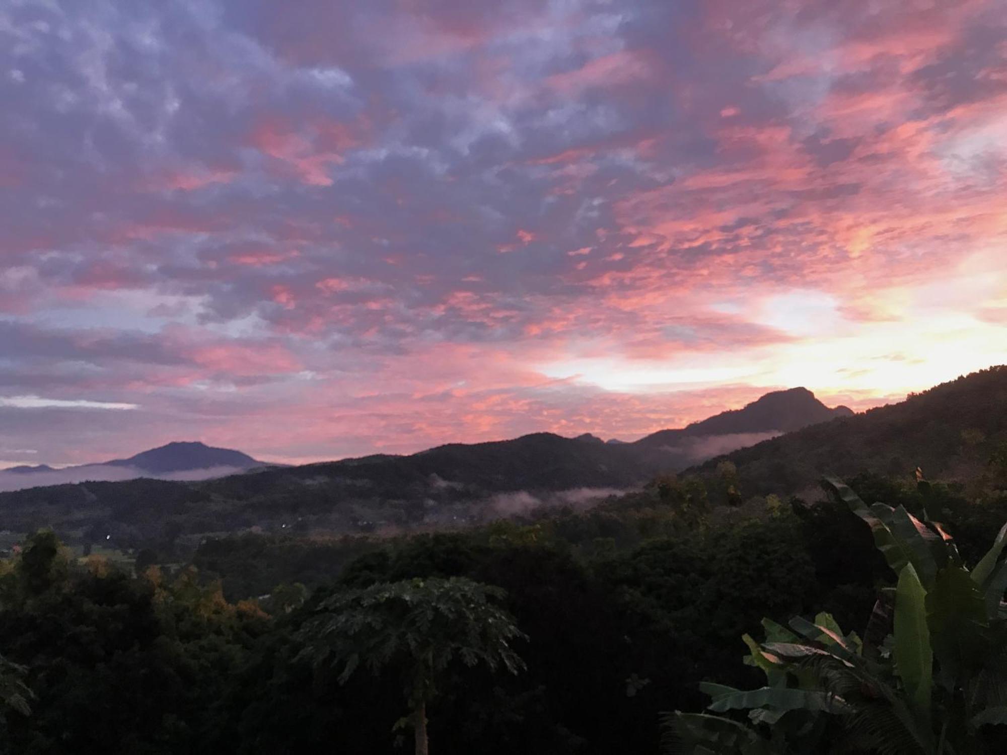 Tranquil Vista * Pua