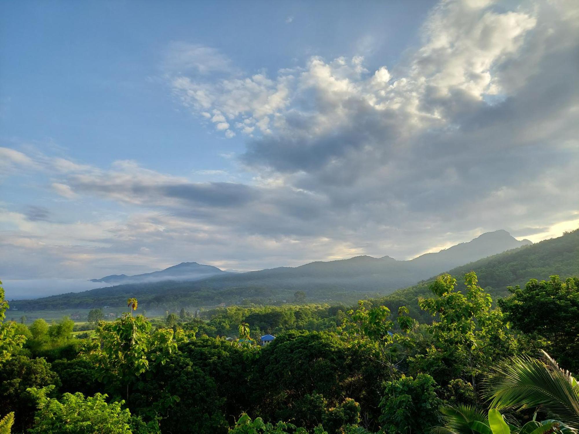 Tranquil Vista