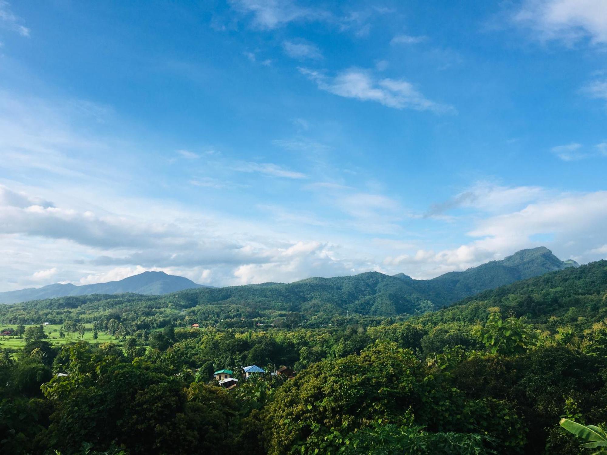 Homestay Tranquil Vista