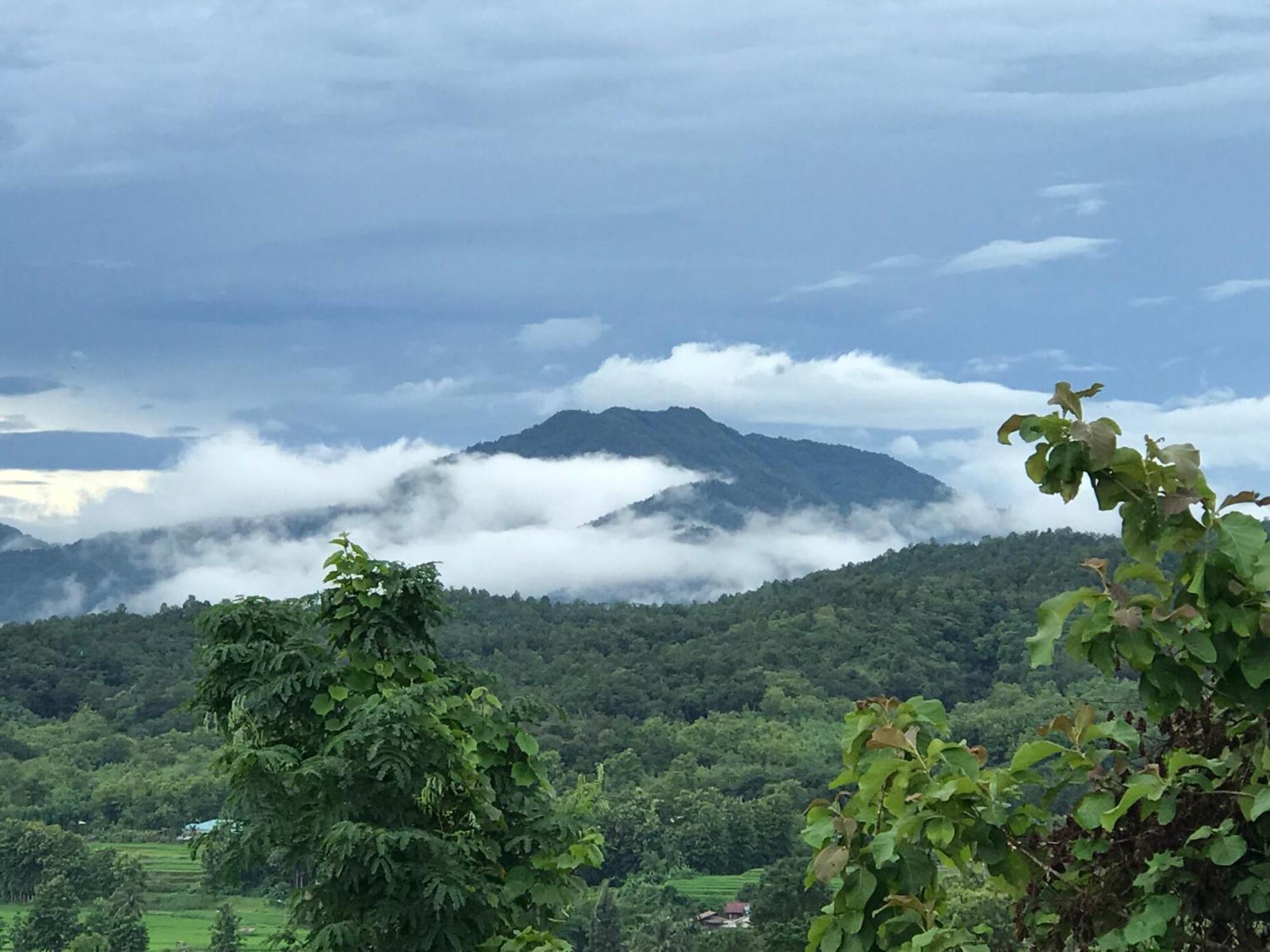 Tranquil Vista Homestay *