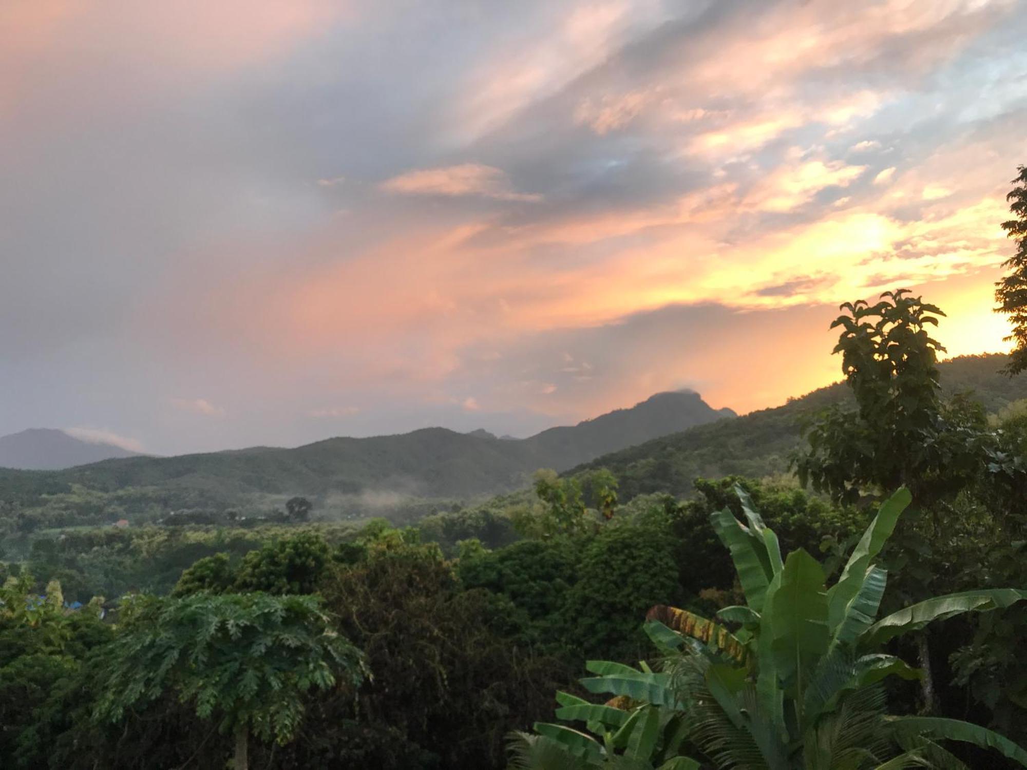 Tranquil Vista Homestay Pua