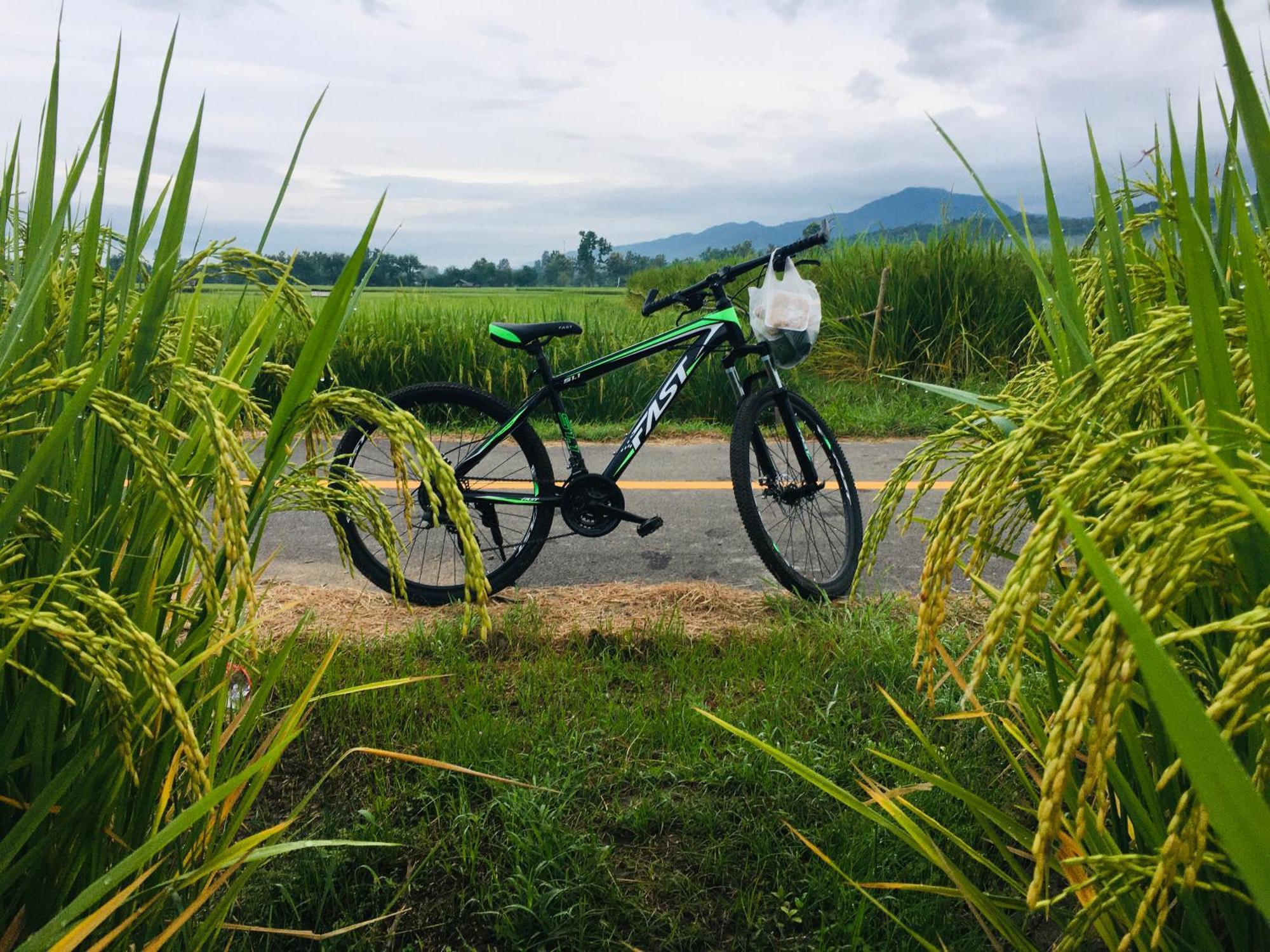 Homestay Tranquil Vista Pua