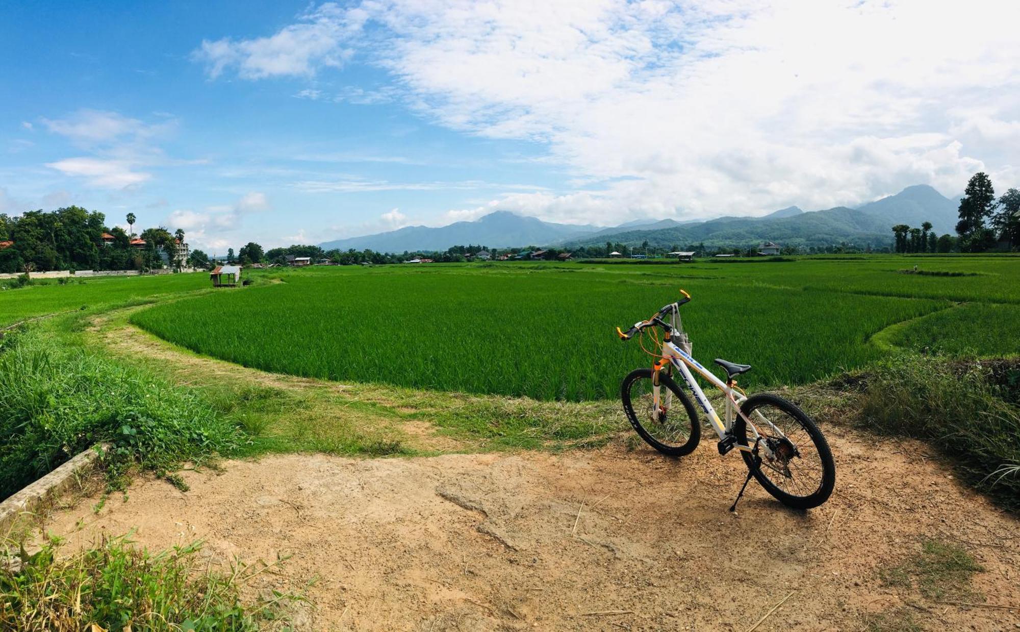 Homestay Tranquil Vista Pua