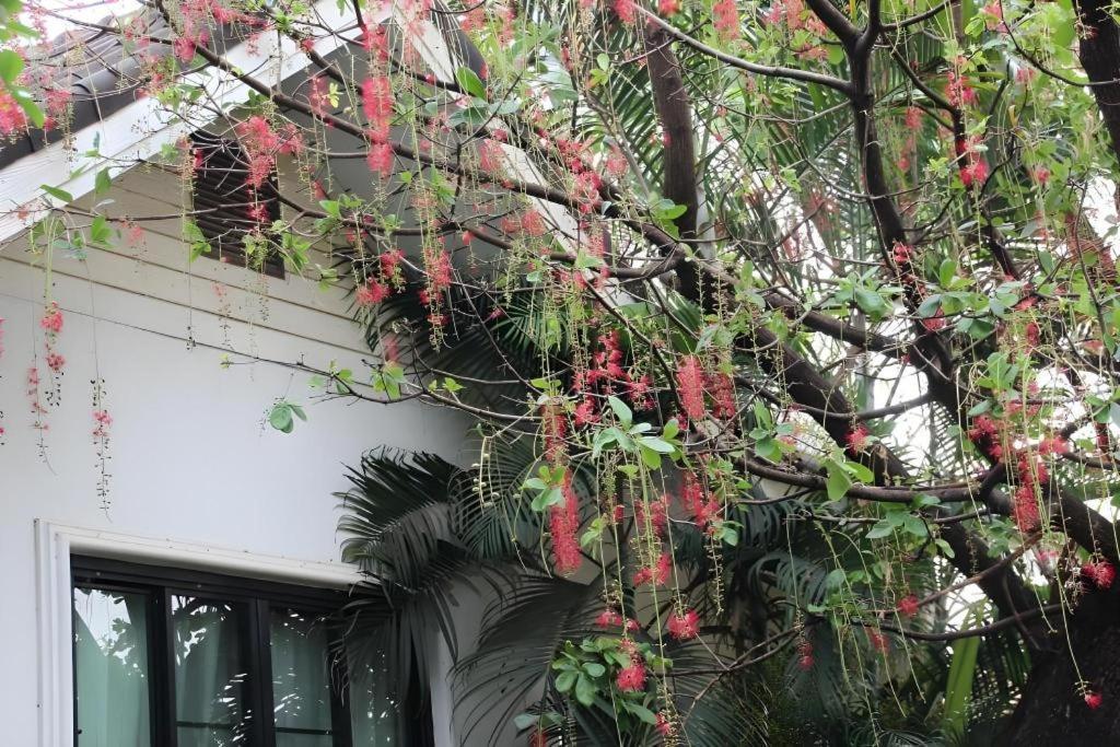 Resort Chayada Garden House And