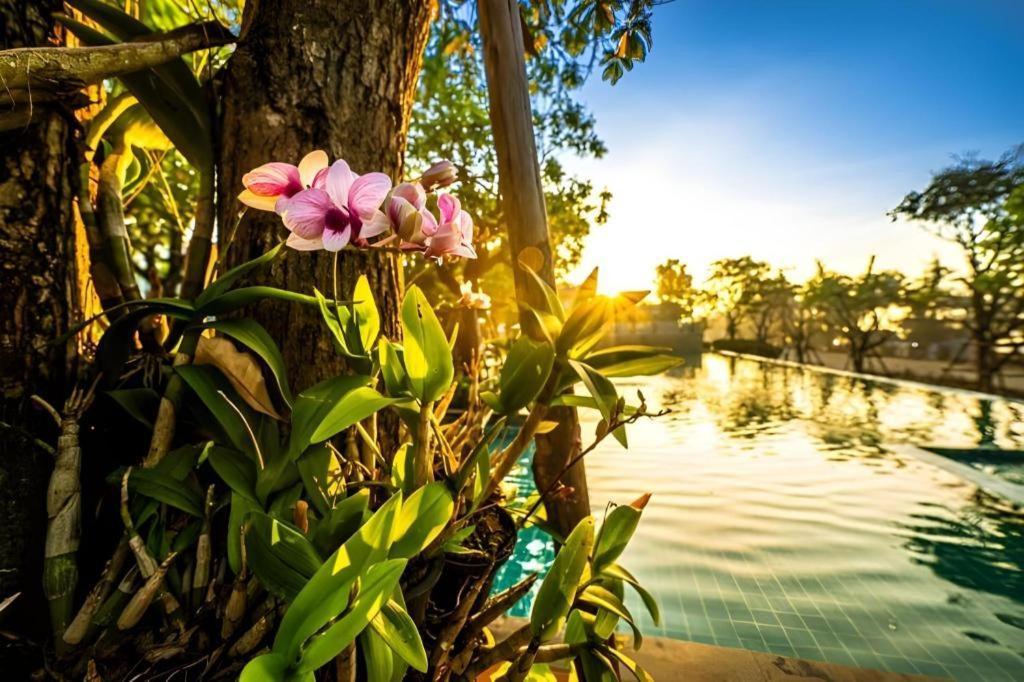 Resort Chatnipa By Morseng 3*