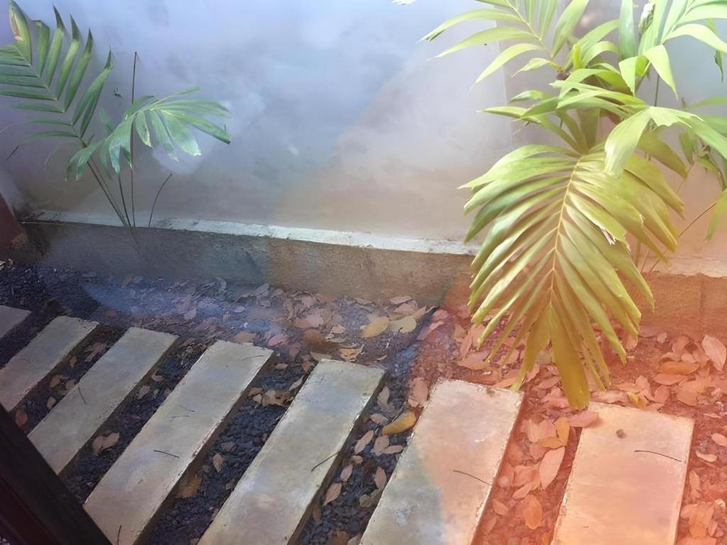 Secret Garden Resort