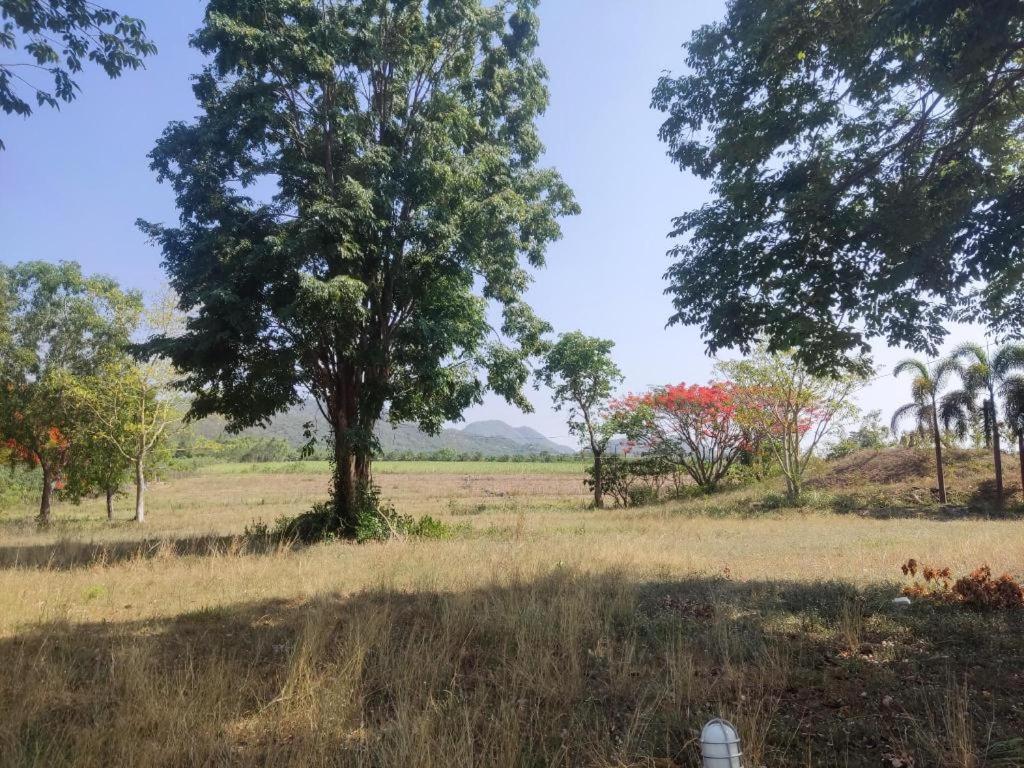 Banrai Pornsawun Suan Phueng