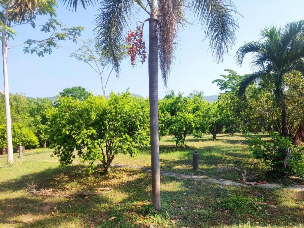Resort Banrai Pornsawun Suan Phueng