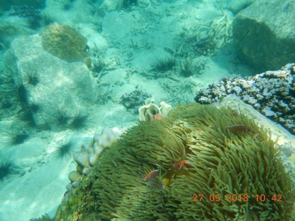 Ao Phrao Resort