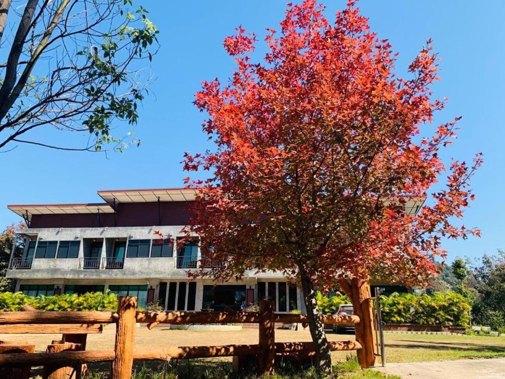 Hongfu Boutique Resort Mae Fa Luang