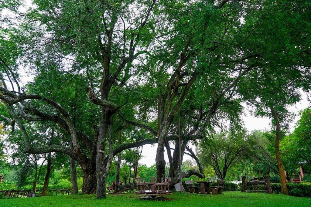Resort Valley Garden 3*