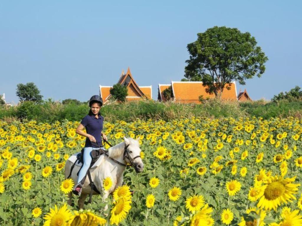 Resort Baan Souchada & Saraburi