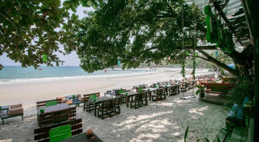 Greenplace-samed Seahorse