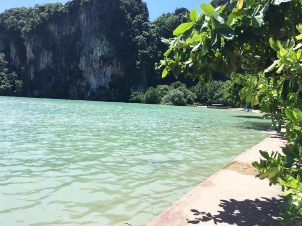 Wild Orchid Krabi