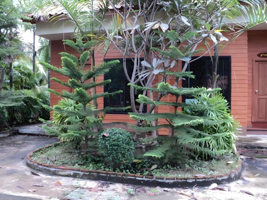 Rai Sai Luang 3*