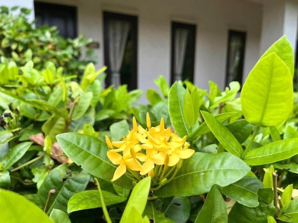 Resort Baan Chueng Kao 3*