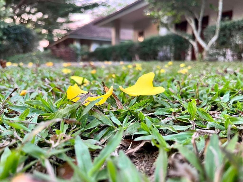 Baan Chueng Kao Resort Ranong