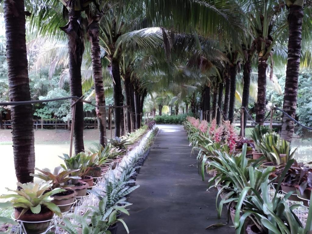 Resort Rai Sai Luang 3*