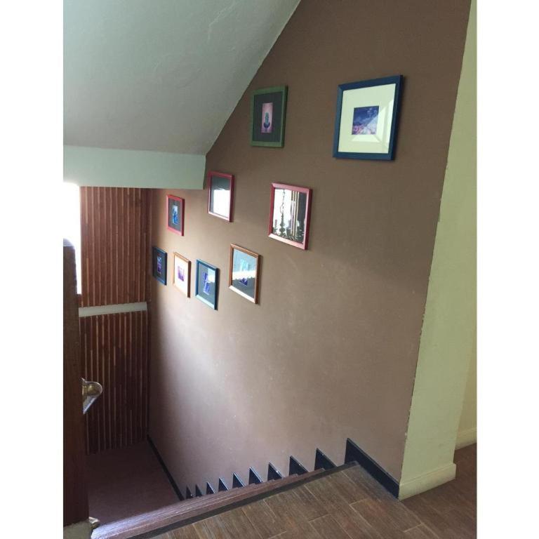 Hotel Cactus &