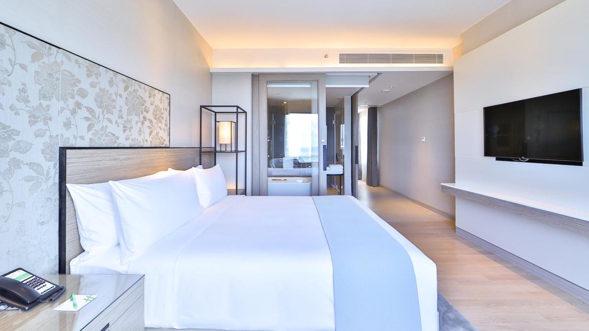 & Centre By Ihg Hotel 5*