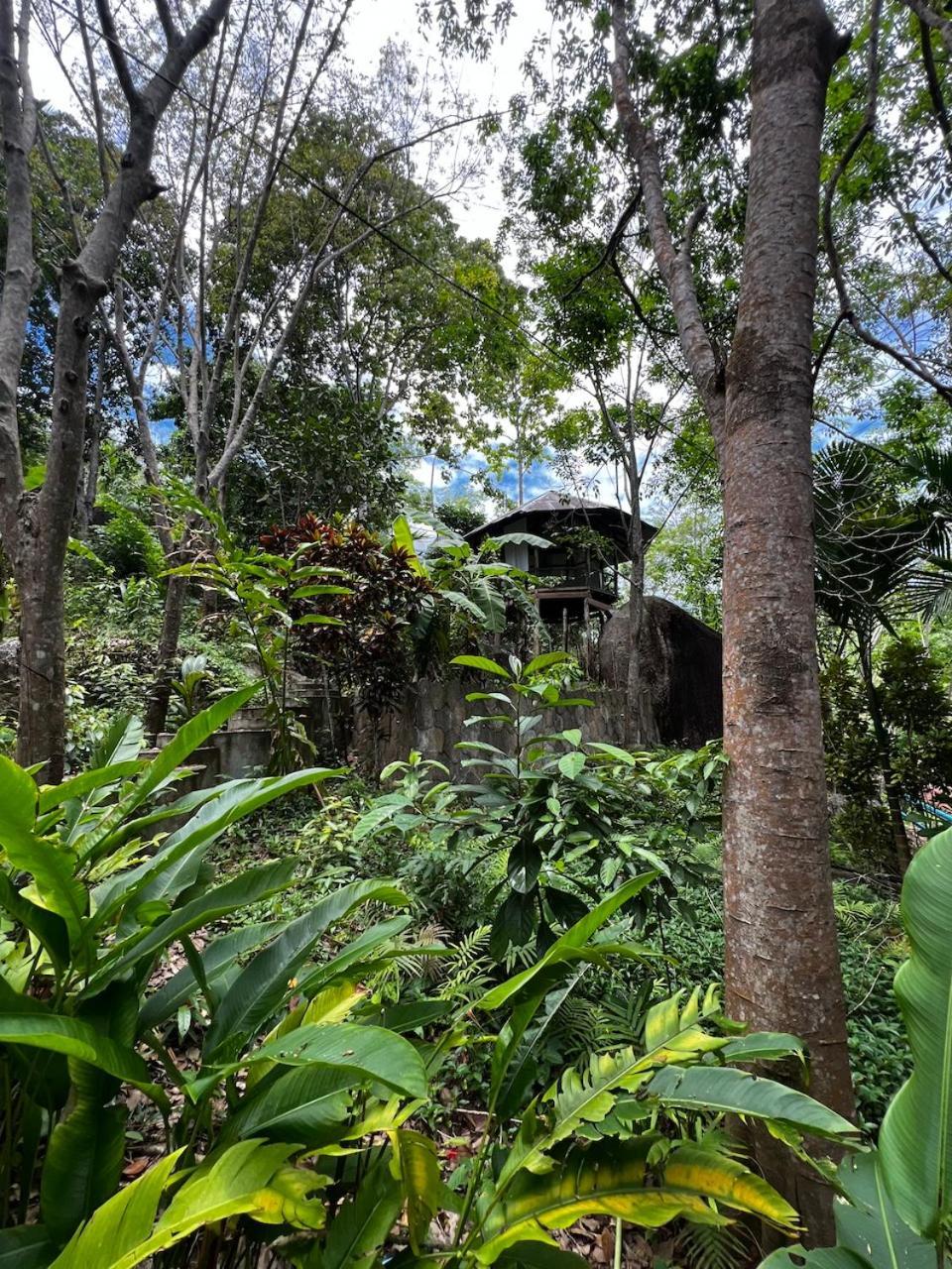 Dragon Soul Retreat Center