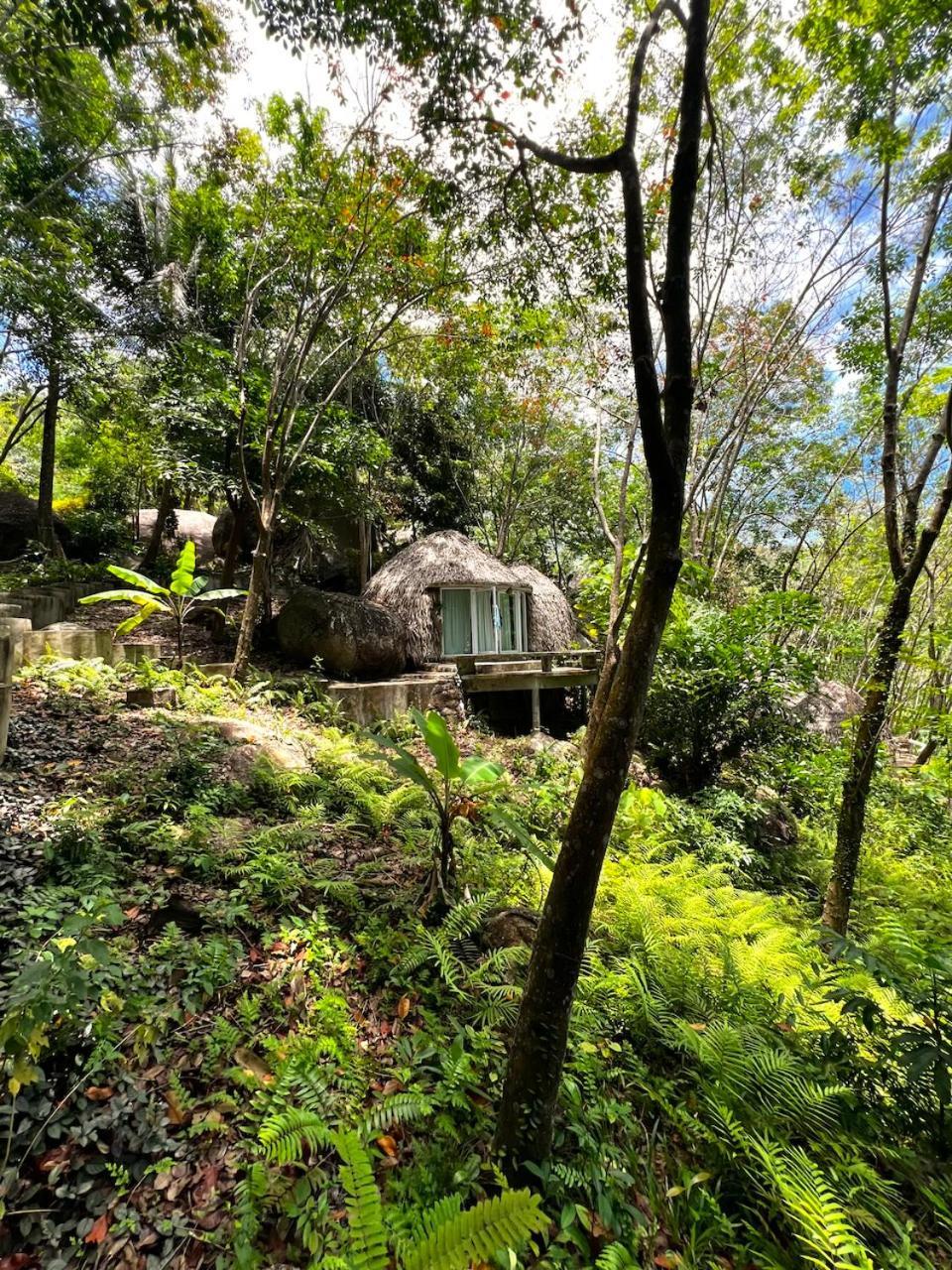 Dragon Soul Retreat Center Ko Pha Ngan