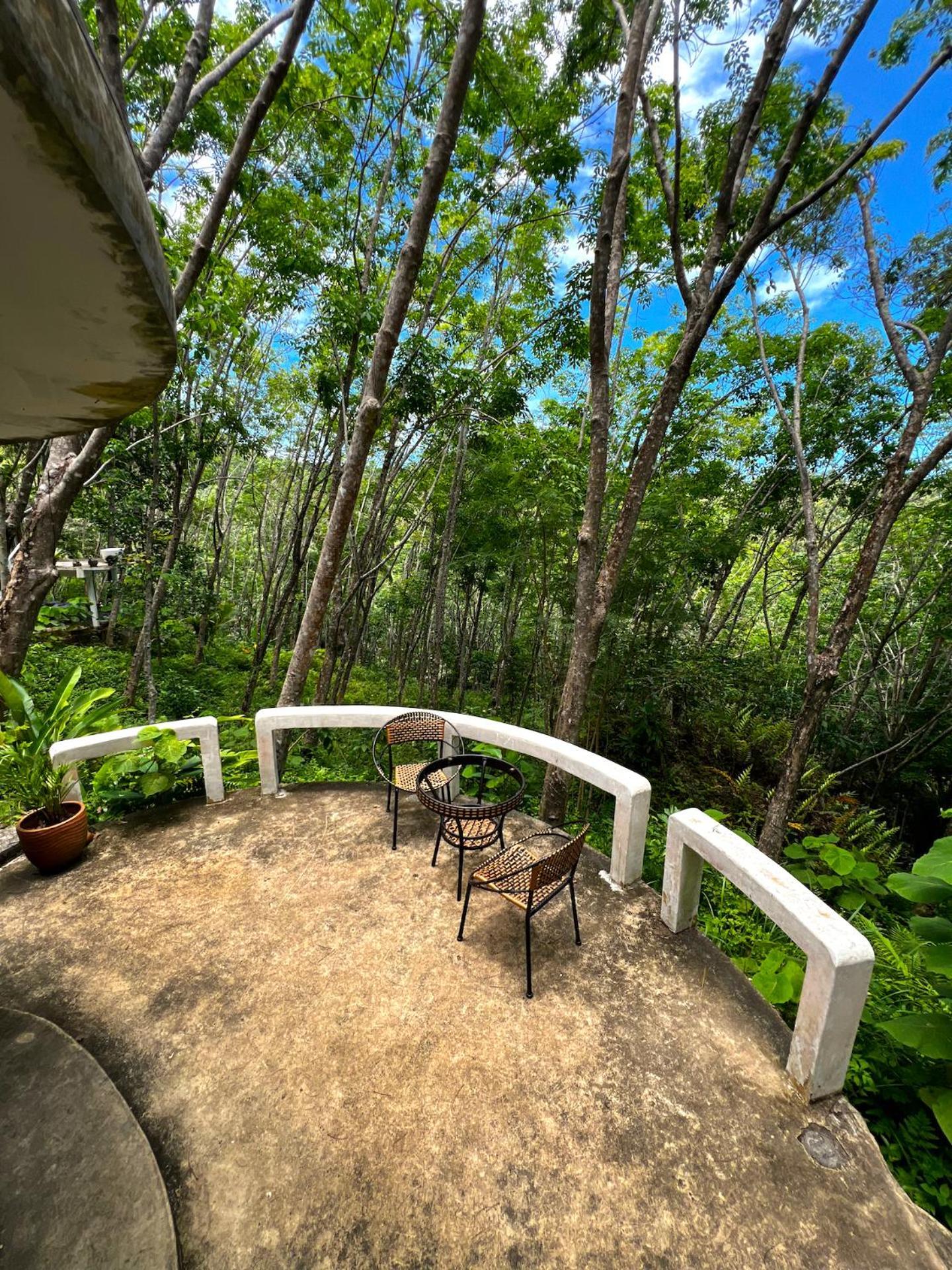 Dragon Soul Retreat Center