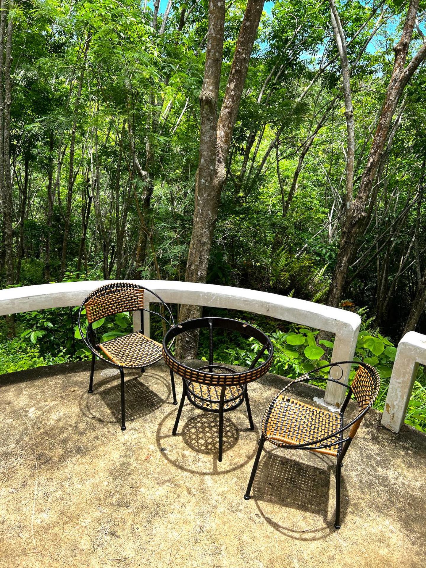 Dragon Soul Retreat Center