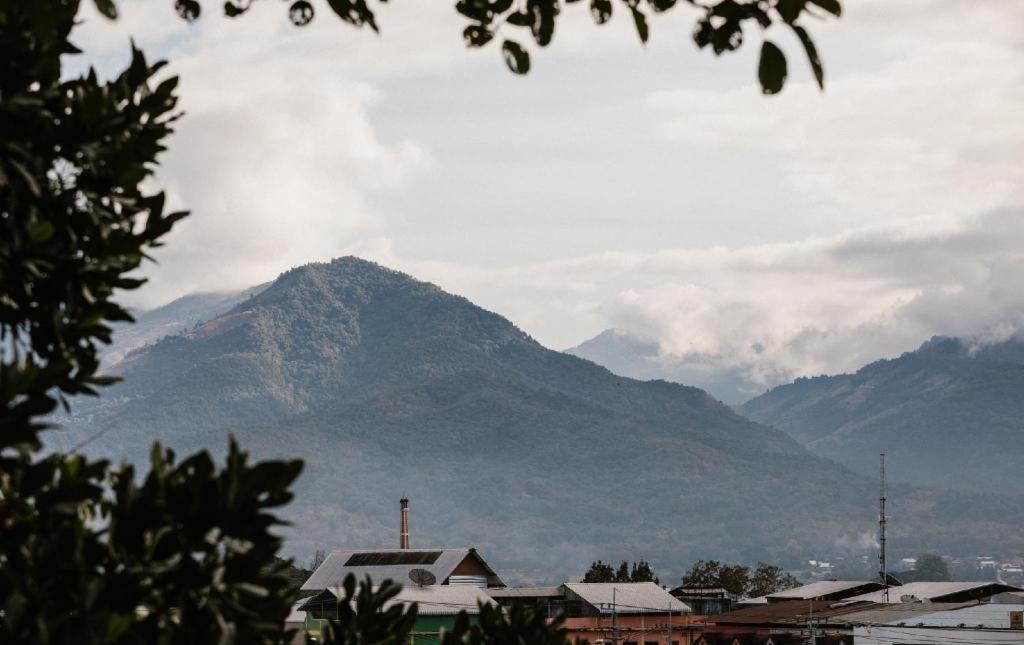 Cocoa Valley