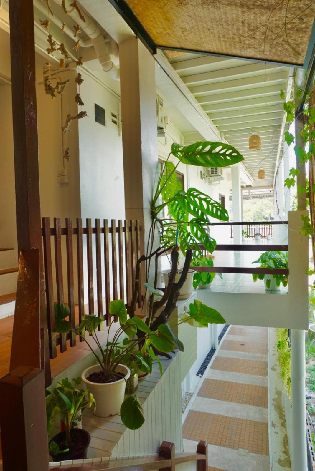 Closca * Koh Tao