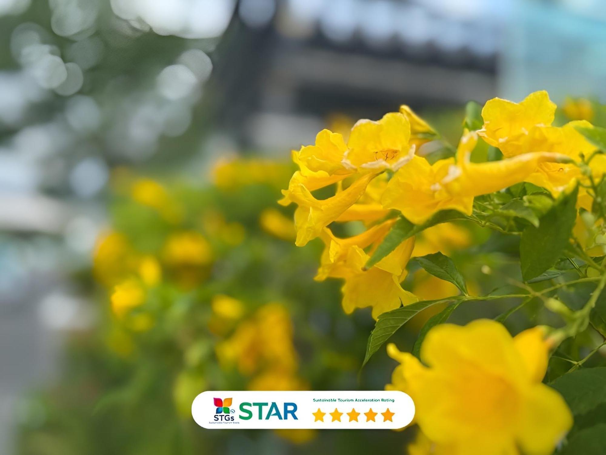 Clarian Hotel 4*