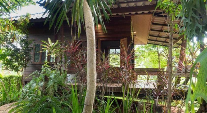 Resort The Frog Khao Yai