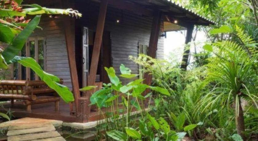 The Frog Khao Yai