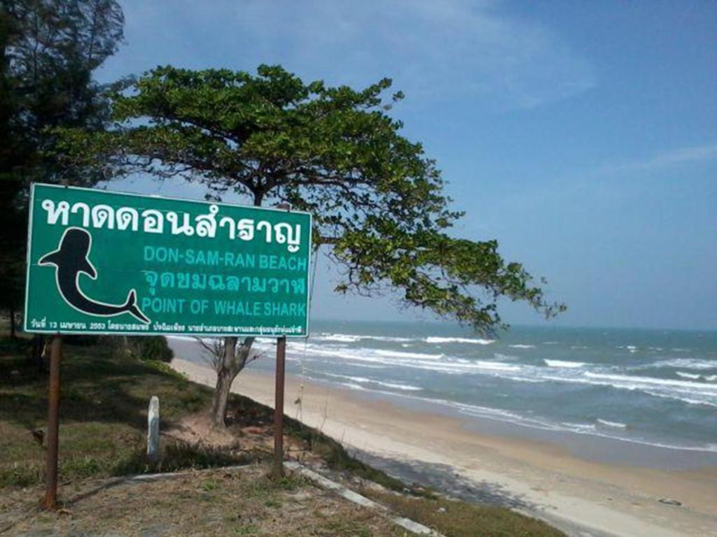Greenseaview Hotel 3*