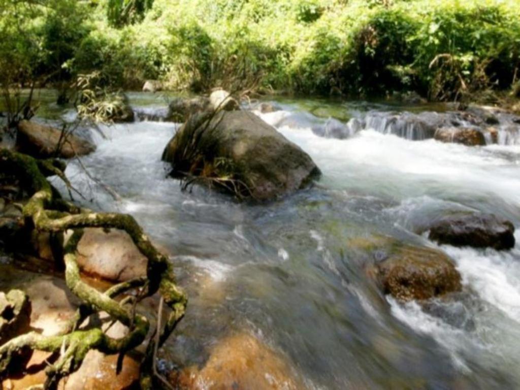 Resort The Forest Nakhon Nayok