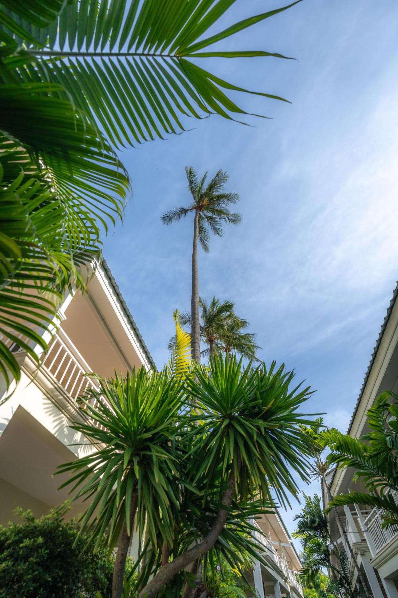 Hotel Arkbar Club Chaweng (Koh Samui)