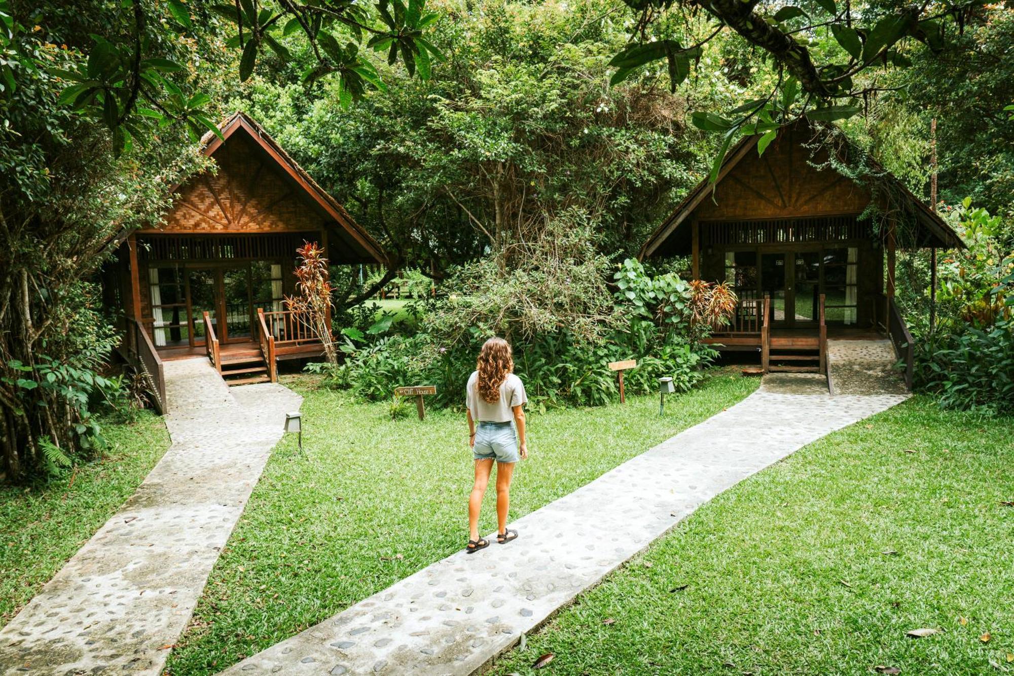 Our Jungle House