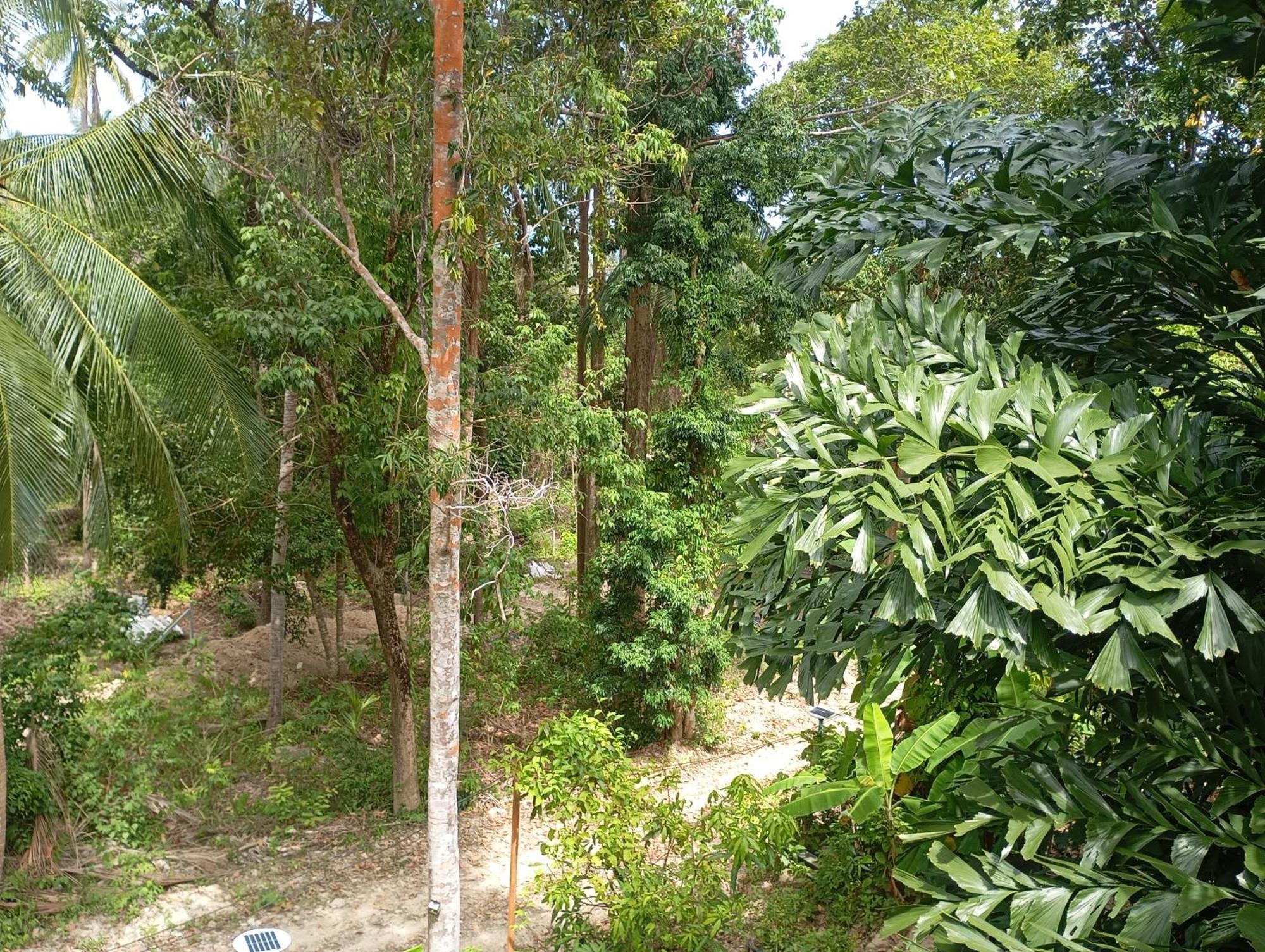 Sunflower Tracy Island Had Yao Bay Holiday home Ko Pha Ngan