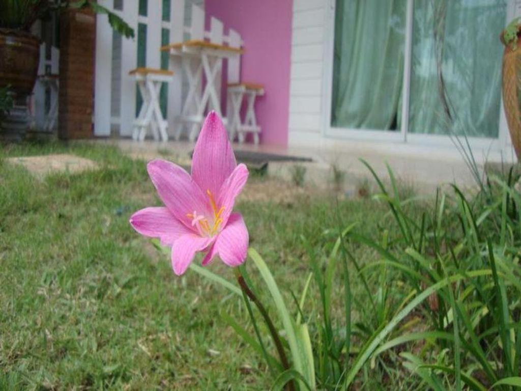 Baan Gon Chompu Suan Phueng