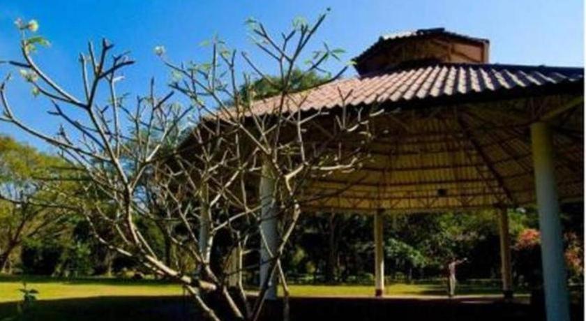 Tao Garden Health &